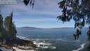 ./images/koeye/fitz-hugh/20260504/fitz-hugh20260504_115501M.jpg
