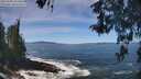 ./images/koeye/fitz-hugh/20260504/fitz-hugh20260504_121502M.jpg