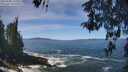 ./images/koeye/fitz-hugh/20260504/fitz-hugh20260504_122002M.jpg