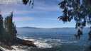 ./images/koeye/fitz-hugh/20260504/fitz-hugh20260504_123501M.jpg