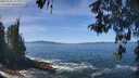 ./images/koeye/fitz-hugh/20260504/fitz-hugh20260504_124002M.jpg