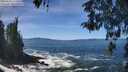 ./images/koeye/fitz-hugh/20260504/fitz-hugh20260504_124501M.jpg