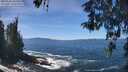 ./images/koeye/fitz-hugh/20260504/fitz-hugh20260504_125501M.jpg