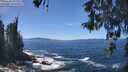 ./images/koeye/fitz-hugh/20260504/fitz-hugh20260504_133001M.jpg