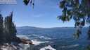 ./images/koeye/fitz-hugh/20260504/fitz-hugh20260504_134501M.jpg