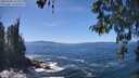./images/koeye/fitz-hugh/20260504/fitz-hugh20260504_135002M.jpg