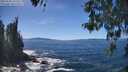 ./images/koeye/fitz-hugh/20260504/fitz-hugh20260504_135501M.jpg