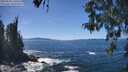 ./images/koeye/fitz-hugh/20260504/fitz-hugh20260504_141001M.jpg