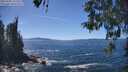 ./images/koeye/fitz-hugh/20260504/fitz-hugh20260504_141501M.jpg