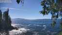 ./images/koeye/fitz-hugh/20260504/fitz-hugh20260504_144501M.jpg