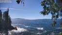 ./images/koeye/fitz-hugh/20260504/fitz-hugh20260504_145002M.jpg