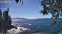 ./images/koeye/fitz-hugh/20260504/fitz-hugh20260504_151001M.jpg
