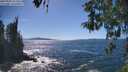 ./images/koeye/fitz-hugh/20260504/fitz-hugh20260504_152501M.jpg