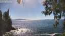 ./images/koeye/fitz-hugh/20260504/fitz-hugh20260504_154501M.jpg