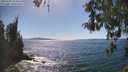 ./images/koeye/fitz-hugh/20260504/fitz-hugh20260504_155001M.jpg