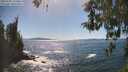 ./images/koeye/fitz-hugh/20260504/fitz-hugh20260504_155502M.jpg