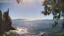 ./images/koeye/fitz-hugh/20260504/fitz-hugh20260504_160501M.jpg