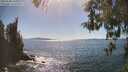 ./images/koeye/fitz-hugh/20260504/fitz-hugh20260504_161001M.jpg