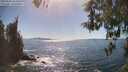 ./images/koeye/fitz-hugh/20260504/fitz-hugh20260504_161501M.jpg