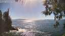 ./images/koeye/fitz-hugh/20260504/fitz-hugh20260504_162001M.jpg