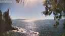 ./images/koeye/fitz-hugh/20260504/fitz-hugh20260504_162501M.jpg