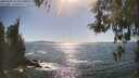 ./images/koeye/fitz-hugh/20260504/fitz-hugh20260504_164001M.jpg