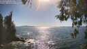 ./images/koeye/fitz-hugh/20260504/fitz-hugh20260504_164501M.jpg