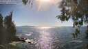 ./images/koeye/fitz-hugh/20260504/fitz-hugh20260504_165001M.jpg