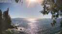 ./images/koeye/fitz-hugh/20260504/fitz-hugh20260504_165501M.jpg