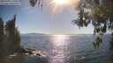 ./images/koeye/fitz-hugh/20260504/fitz-hugh20260504_170501M.jpg