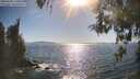 ./images/koeye/fitz-hugh/20260504/fitz-hugh20260504_171001M.jpg