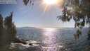 ./images/koeye/fitz-hugh/20260504/fitz-hugh20260504_171501M.jpg