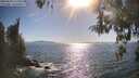 ./images/koeye/fitz-hugh/20260504/fitz-hugh20260504_172002M.jpg
