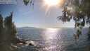 ./images/koeye/fitz-hugh/20260504/fitz-hugh20260504_172501M.jpg