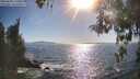 ./images/koeye/fitz-hugh/20260504/fitz-hugh20260504_173002M.jpg