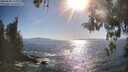 ./images/koeye/fitz-hugh/20260504/fitz-hugh20260504_174001M.jpg