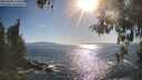 ./images/koeye/fitz-hugh/20260504/fitz-hugh20260504_174501M.jpg