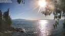 ./images/koeye/fitz-hugh/20260504/fitz-hugh20260504_180501M.jpg