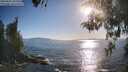 ./images/koeye/fitz-hugh/20260504/fitz-hugh20260504_182001M.jpg