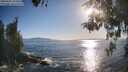 ./images/koeye/fitz-hugh/20260504/fitz-hugh20260504_182501M.jpg