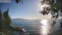 ./images/koeye/fitz-hugh/20260504/fitz-hugh20260504_183001M.jpg