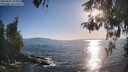 ./images/koeye/fitz-hugh/20260504/fitz-hugh20260504_184001M.jpg