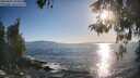 ./images/koeye/fitz-hugh/20260504/fitz-hugh20260504_184501M.jpg