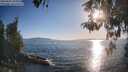 ./images/koeye/fitz-hugh/20260504/fitz-hugh20260504_185001M.jpg