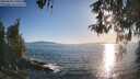 ./images/koeye/fitz-hugh/20260504/fitz-hugh20260504_190501M.jpg