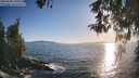 ./images/koeye/fitz-hugh/20260504/fitz-hugh20260504_191001M.jpg