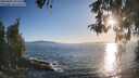 ./images/koeye/fitz-hugh/20260504/fitz-hugh20260504_191501M.jpg