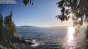 ./images/koeye/fitz-hugh/20260504/fitz-hugh20260504_192001M.jpg