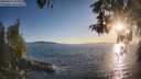 ./images/koeye/fitz-hugh/20260504/fitz-hugh20260504_194001M.jpg
