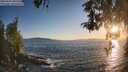 ./images/koeye/fitz-hugh/20260504/fitz-hugh20260504_200501M.jpg